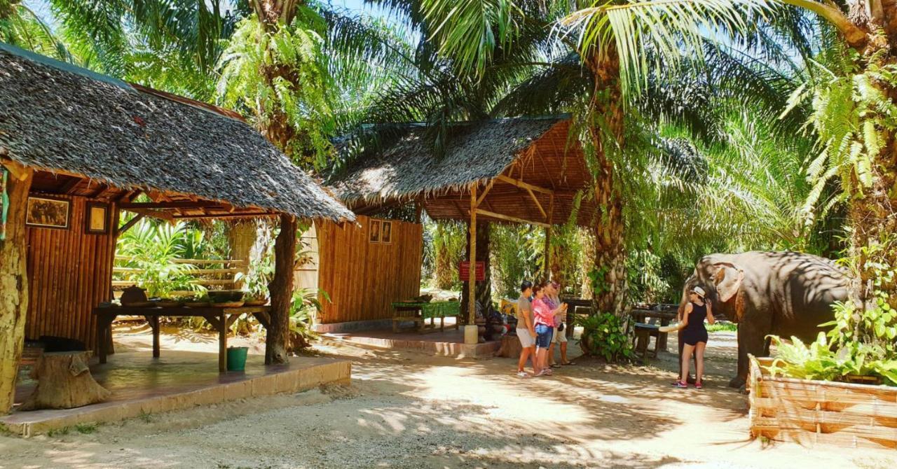 Khao Sok River Home Resort Khao Sok National Park Exterior photo