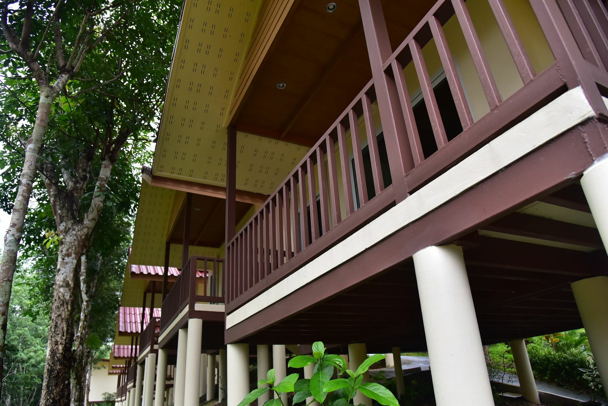 Khao Sok River Home Resort Khao Sok National Park Exterior photo