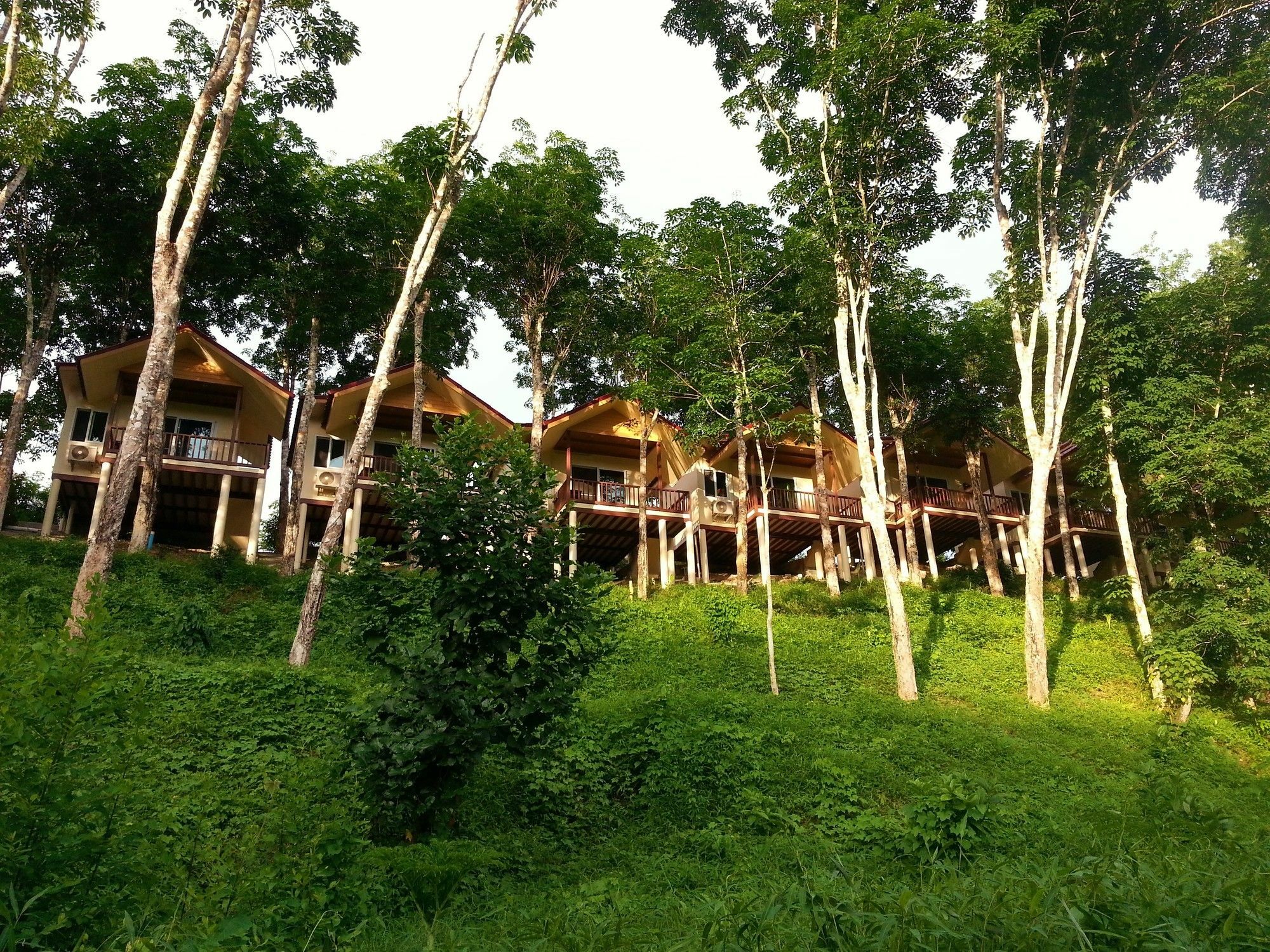 Khao Sok River Home Resort Khao Sok National Park Exterior photo